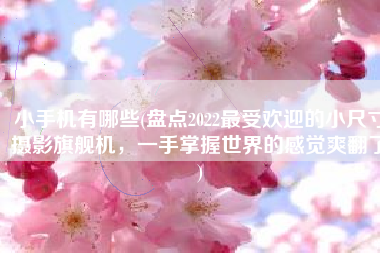 小手机有哪些(盘点2022最受欢迎的小尺寸摄影旗舰机，一手掌握世界的感觉爽翻了)