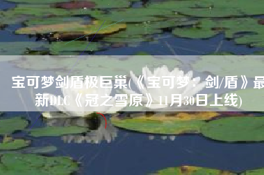 宝可梦剑盾极巨巢(《宝可梦：剑/盾》最新DLC《冠之雪原》11月30日上线)