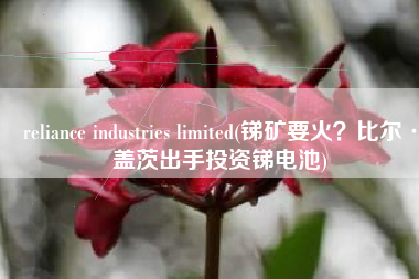 reliance industries limited(锑矿要火？比尔·盖茨出手投资锑电池)