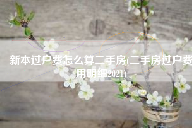 新本过户费怎么算二手房(二手房过户费用明细2021)
