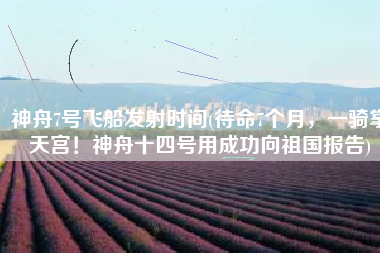 神舟7号飞船发射时间(待命7个月，一骑掌天宫！神舟十四号用成功向祖国报告)