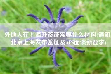 外地人在上海办签证需要什么材料(通知！北京上海发布签证及APS面谈新要求)