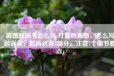 离婚起诉书怎么写(打官司离婚，怎么写起诉状？起诉状有3部分，注意7个细节要点)