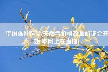 李树森社科院(天然气价格改革听证会开始 本网正在直播)