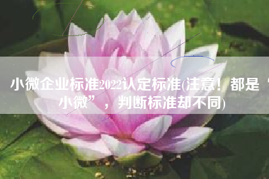 小微企业标准2022认定标准(注意！都是“小微”，判断标准却不同)