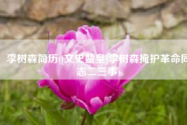 李树森简历([文史赞皇]李树森掩护革命同志二三事)