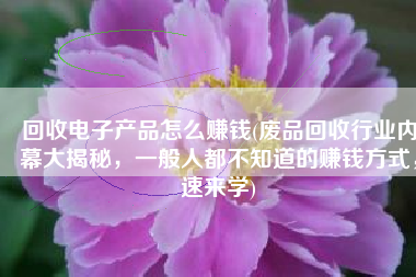 回收电子产品怎么赚钱(废品回收行业内幕大揭秘，一般人都不知道的赚钱方式，速来学)