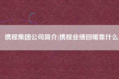 携程集团公司简介(携程业绩回暖靠什么)