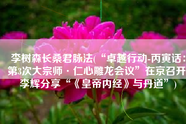 李树森长桑君脉法(“卓越行动-丙寅话：第3次大宗师·仁心雕龙会议”在京召开 李辉分享“《皇帝内经》与丹道”)