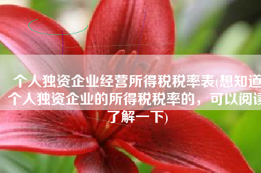 个人独资企业经营所得税税率表(想知道个人独资企业的所得税税率的，可以阅读了解一下)