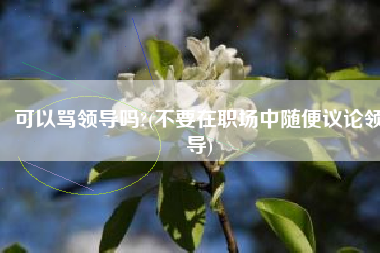可以骂领导吗?(不要在职场中随便议论领导)