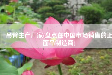 吊臂生产厂家(盘点在中国市场销售的正面吊制造商)