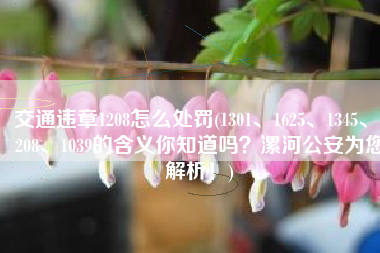 交通违章1208怎么处罚(1301、1625、1345、1208、1039的含义你知道吗？漯河公安为您解析！)