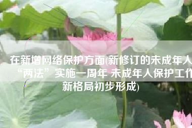 在新增网络保护方面(新修订的未成年人“两法”实施一周年 未成年人保护工作新格局初步形成)