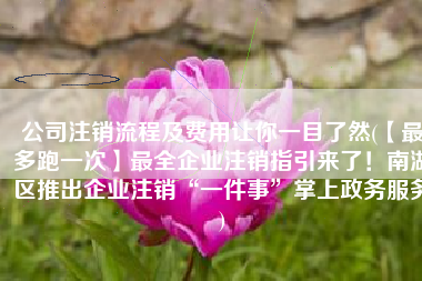 公司注销流程及费用让你一目了然(【最多跑一次】最全企业注销指引来了！南湖区推出企业注销“一件事”掌上政务服务)
