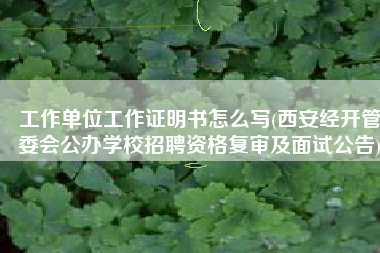 工作单位工作证明书怎么写(西安经开管委会公办学校招聘资格复审及面试公告)