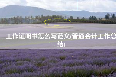 工作证明书怎么写范文(普通会计工作总结)