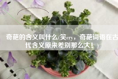 奇葩的含义叫什么(笑cry，奇葩词语在古代含义原来差别那么大！)