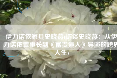 伊力诺依家具史晓燕(访谈史晓燕：从伊力诺依董事长到《富贵逼人》导演的跨界人生)