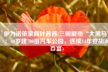 伊力诺依家具叶茜茜(三明藏市“大黑马”：40岁建700亩汽车公园，连续14年登胡润百富)