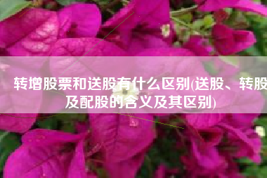 转增股票和送股有什么区别(送股、转股及配股的含义及其区别)