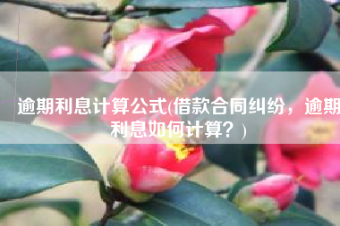 逾期利息计算公式(借款合同纠纷，逾期利息如何计算？)