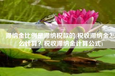 滞纳金比例是滞纳税款的(税收滞纳金怎么计算？税收滞纳金计算公式)