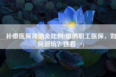 补缴医保滞纳金比例(缴纳职工医保，如何避坑？速看→)