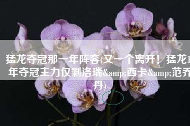 猛龙夺冠那一年阵容(又一个离开！猛龙19年夺冠主力仅剩洛瑞&西卡&范乔丹)