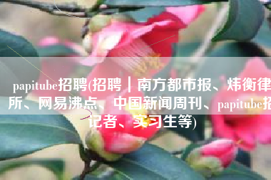 papitube招聘(招聘｜南方都市报、炜衡律所、网易沸点、中国新闻周刊、papitube招记者、实习生等)