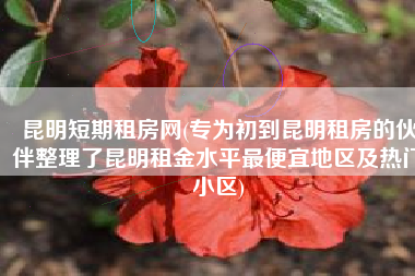 昆明短期租房网(专为初到昆明租房的伙伴整理了昆明租金水平最便宜地区及热门小区)