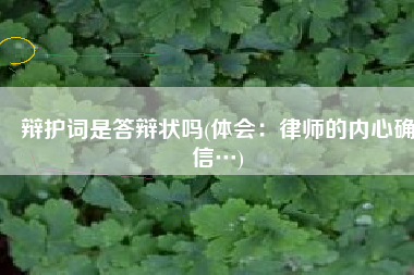 辩护词是答辩状吗(体会：律师的内心确信…)