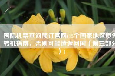 国际机票查询预订官网(15个国家地区境外转机指南，否则可能遣返回国（第三部分）)