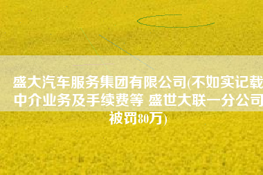 盛大汽车服务集团有限公司(不如实记载中介业务及手续费等 盛世大联一分公司被罚80万)