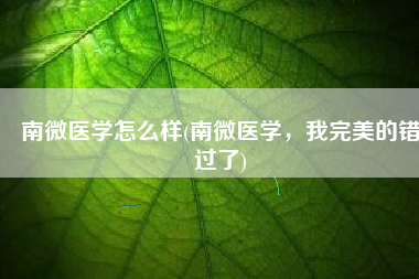 南微医学怎么样(南微医学，我完美的错过了)