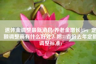 退休金调整最新消息(养老金增长4%，定额调整高有什么好处？附31省份去年定额调整标准)