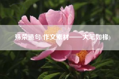 殊荣造句(作文素材——大笔如椽)