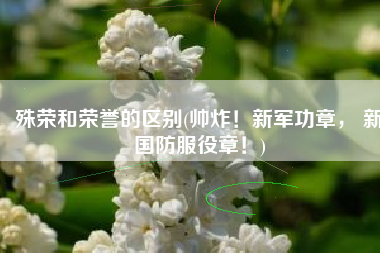殊荣和荣誉的区别(帅炸！新军功章， 新国防服役章！)