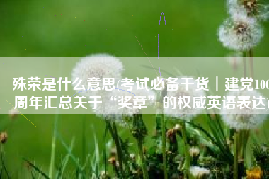 殊荣是什么意思(考试必备干货︱建党100周年汇总关于“奖章”的权威英语表达)