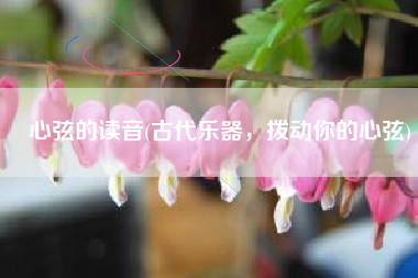心弦的读音(古代乐器，拨动你的心弦)