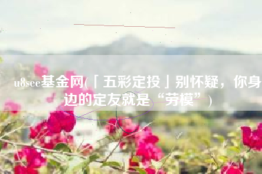u8see基金网(「五彩定投」别怀疑，你身边的定友就是“劳模”)