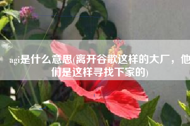 agi是什么意思(离开谷歌这样的大厂，他们是这样寻找下家的)
