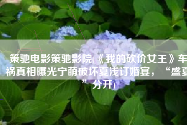 策驰电影策驰影院(《我的砍价女王》车祸真相曝光宁萌破坏夏浅订婚宴，“盛夏”分开)