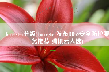 forrester分级(Forrester发布DDoS安全防护服务推荐 腾讯云入选)