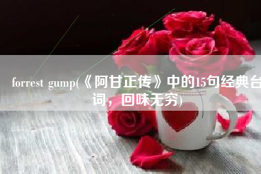 forrest gump(《阿甘正传》中的15句经典台词，回味无穷)