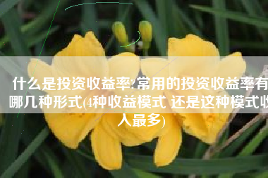 什么是投资收益率?常用的投资收益率有哪几种形式(4种收益模式 还是这种模式收入最多)
