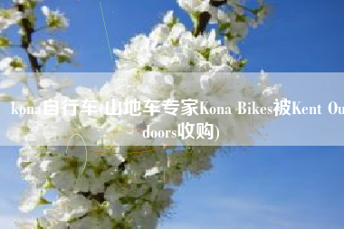 kona自行车(山地车专家Kona Bikes被Kent Outdoors收购)