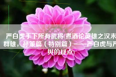 严白虎手下所有武将(煮酒论英雄之汉末群雄，孙策篇（特别篇）——严白虎与严舆的疑点)