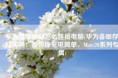 华为备咖存储怎么连接电脑(华为备咖存储实测：备份像充电简单，Mate20系列专属)