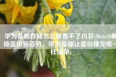 华为备咖存储怎么查看不了内容(Mate20解锁备份新姿势，华为备咖让备份像充电一样简单)